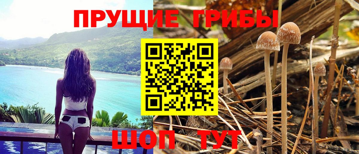 Россошь  закладки  Галлюциногенные грибы Magic Shrooms  Вход с VPN  Галлюциногенные грибы мицелий 