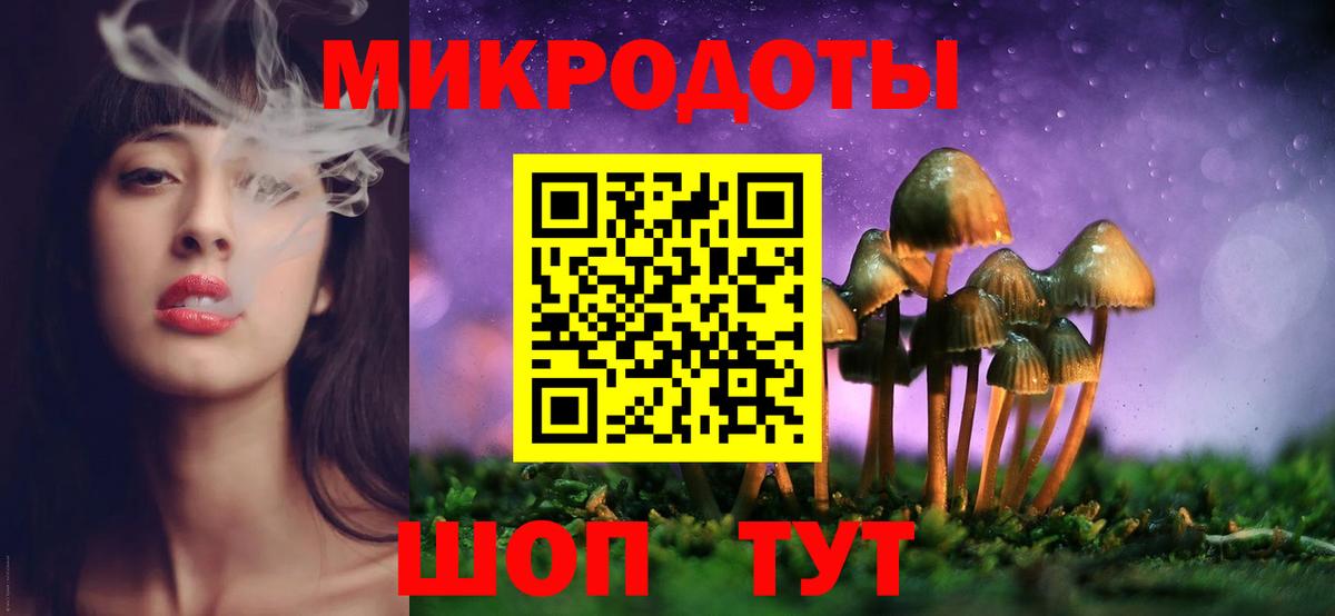 Псилоцибиновые грибы Cubensis Россошь